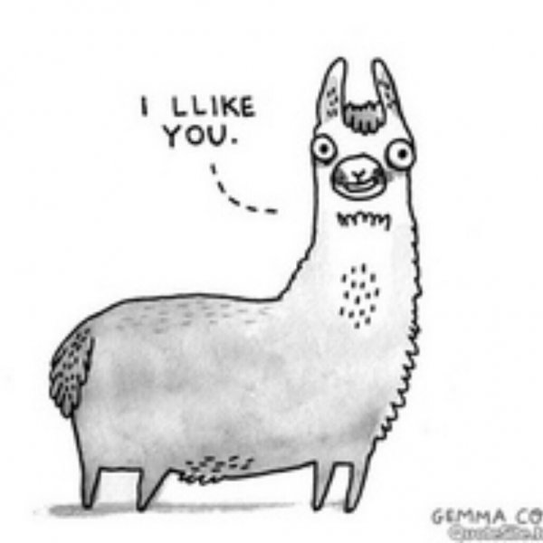 Рисунки для срисовки черно белые животные