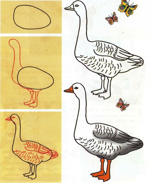 Рисование животных и птиц для детей