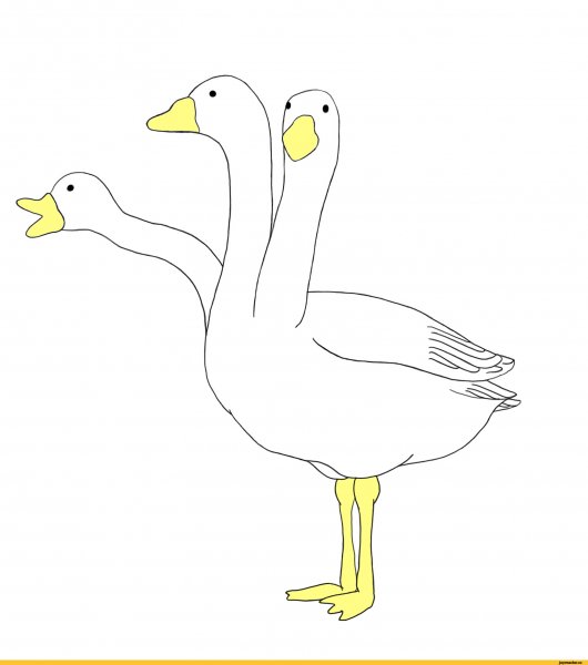 Гусь для срисовки