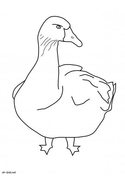 Гусь картинка