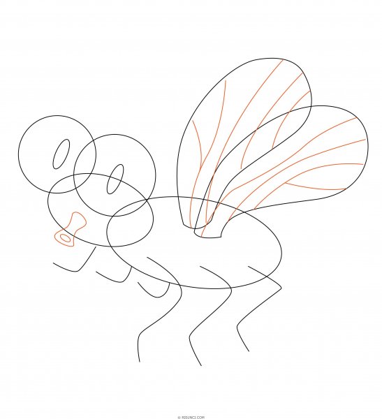 Муха для срисовки