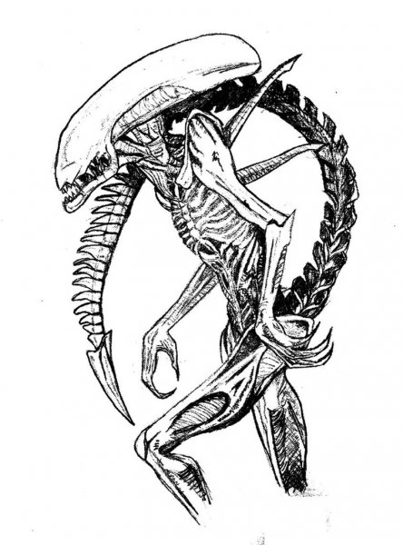 Ксеноморф эскизы Гигера