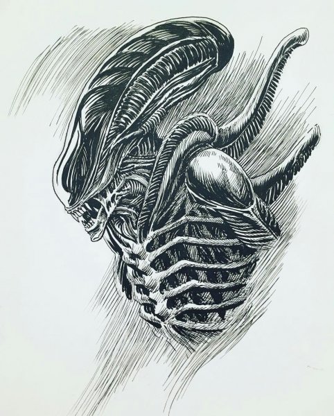 Xenomorph контур