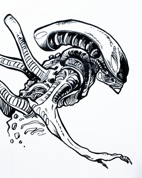 Чужой Ксеноморф скетч