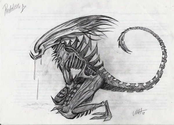 Раскраски чужой Ксеноморф и хищник