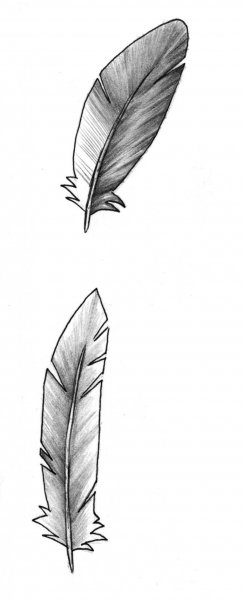 Перо для срисовки карандашом