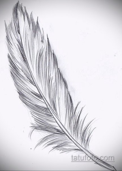 Красивое перо