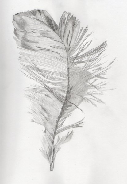 Нарисовать перо