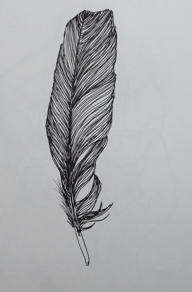 Нарисовать перо