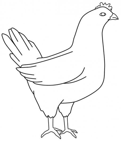 Нарисовать курицу