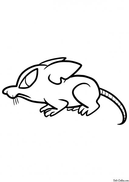 Крыса для срисовки