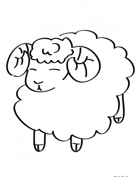 Овечка раскраска для малышей