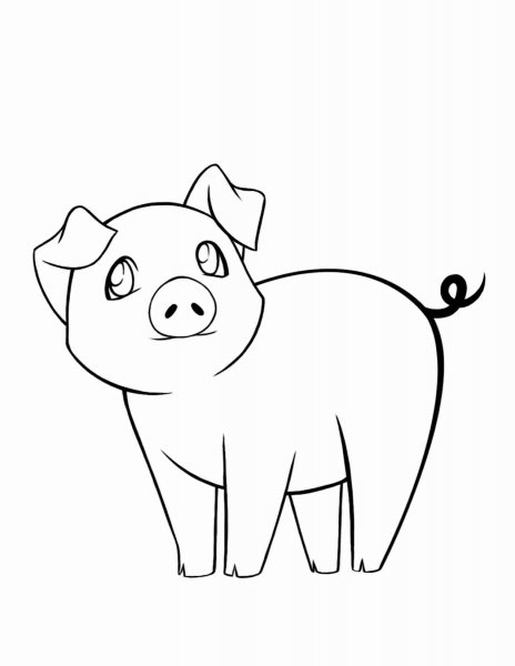 Рисунки животных для срисовки детям