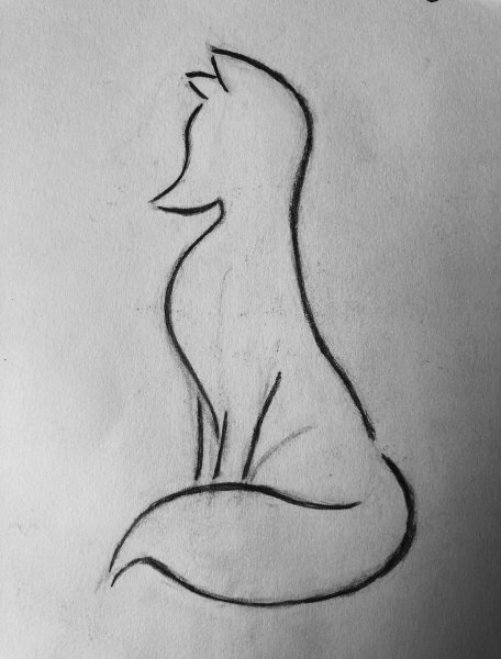 Животные для срисовки карандашом легко