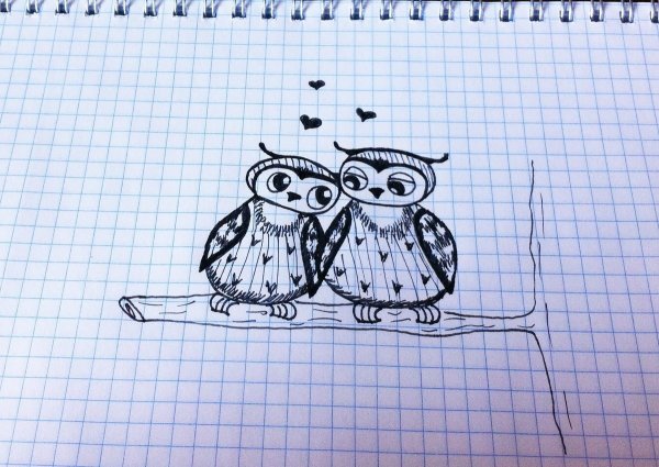 Рисунки ручкой для начинающих