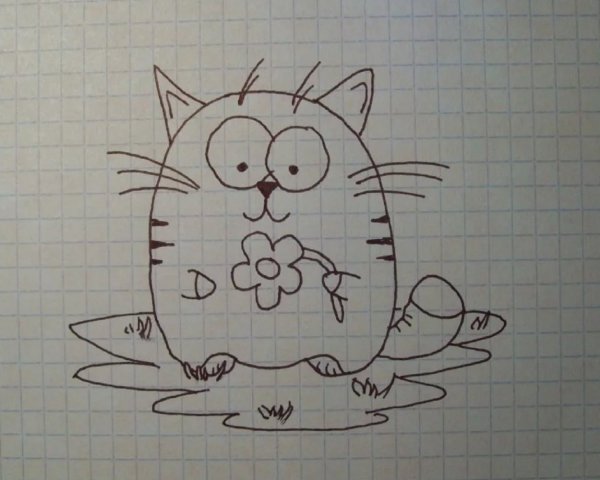 Рисунки в тетради