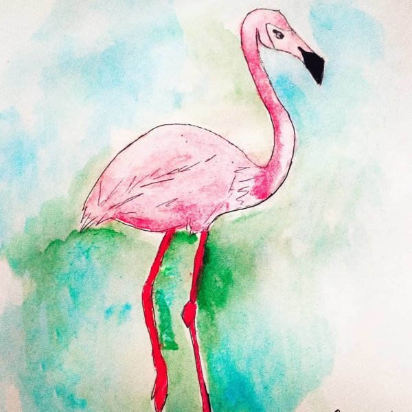 Фламинго цветными карандашами