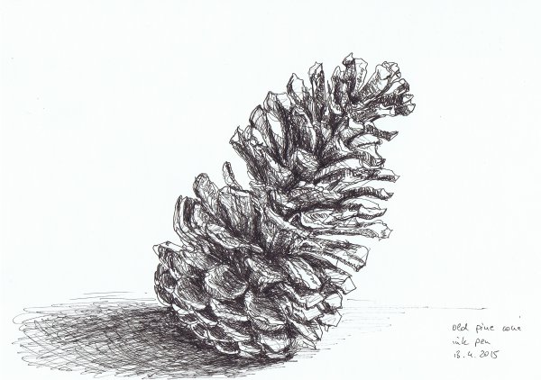 Шишки карандашом