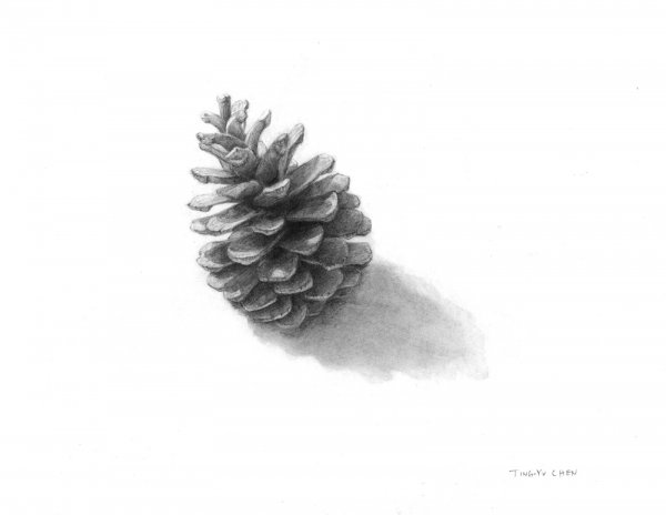 Шишка карандашом