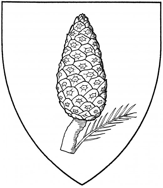 Шишка раскраска