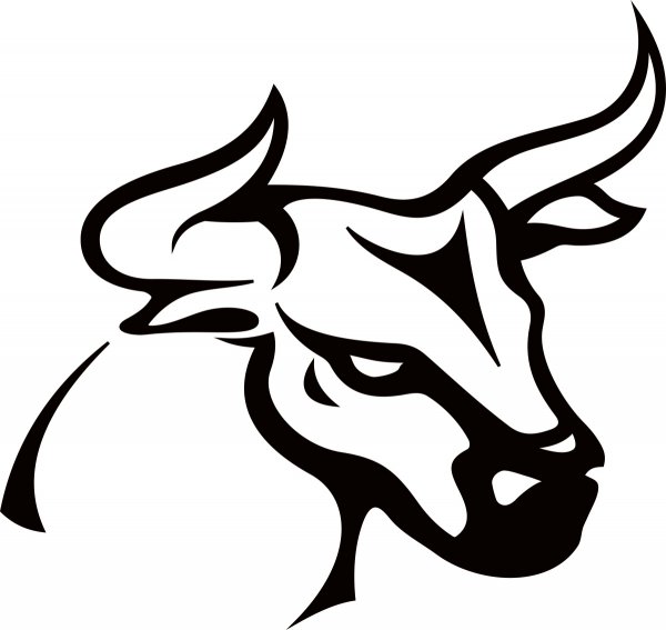 Taurus bull