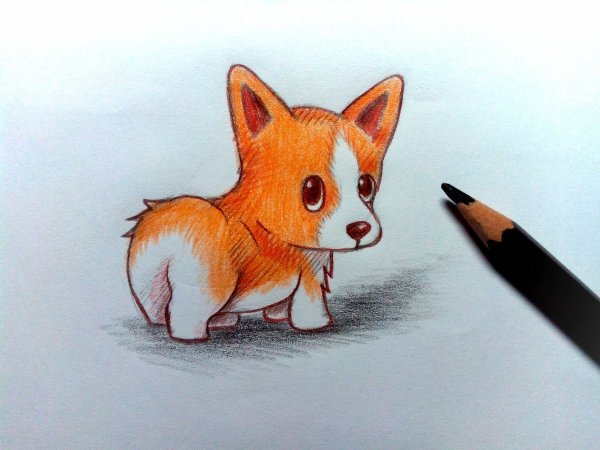 Лиса карандашом