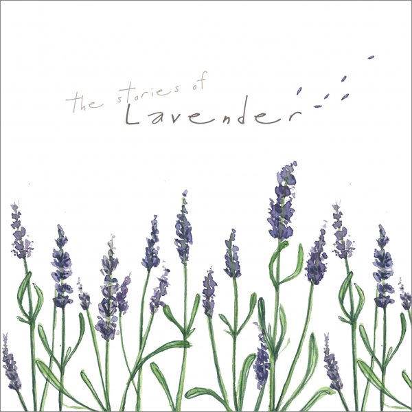 Лаванда в графике