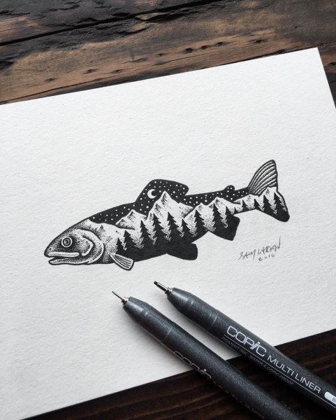 Лосось Графика