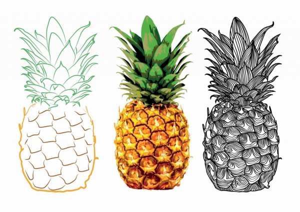 Векторный ананас