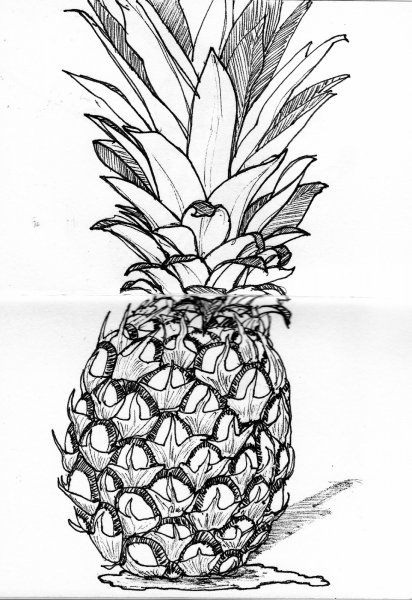 Ананас срисовать