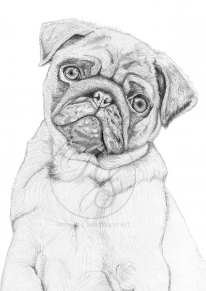 Набросок МОПСА