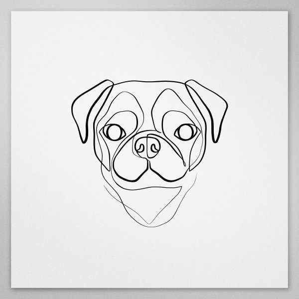 Мопс для срисовки