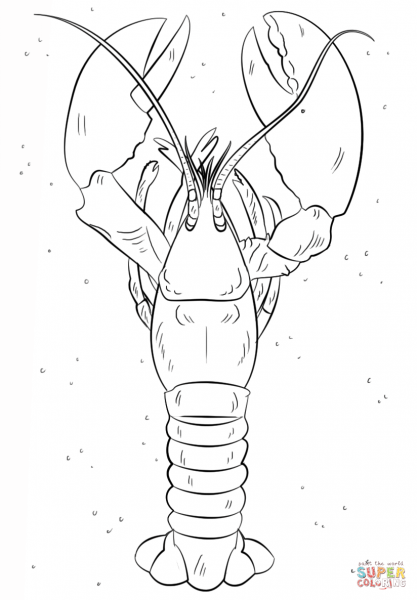 Омар раскраска для детей