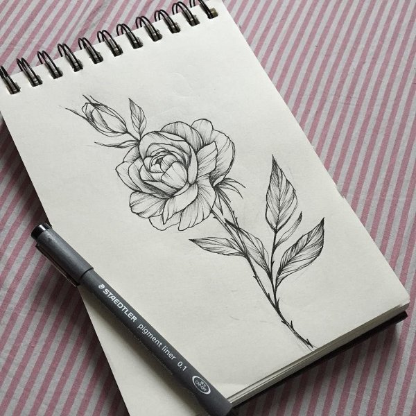 Скетчбук для рисования