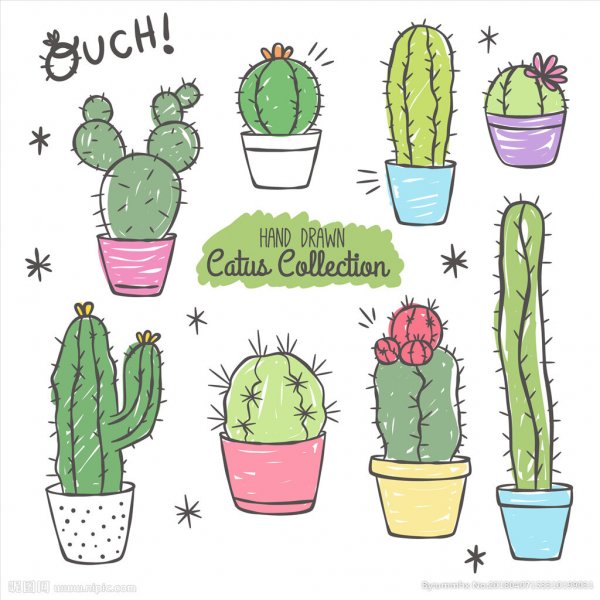 Кактусы для скетчбука