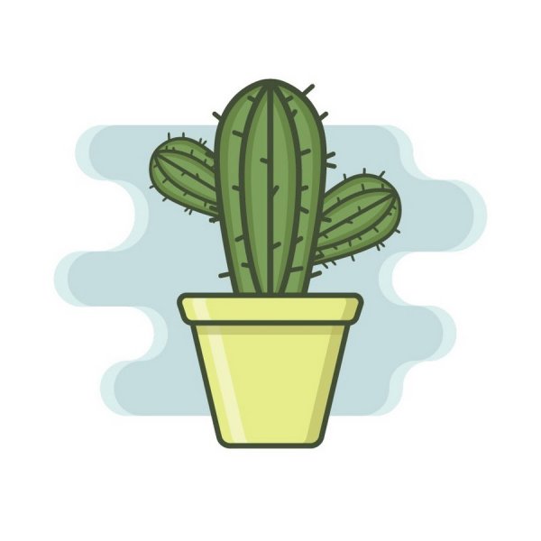 Кактус срисовать