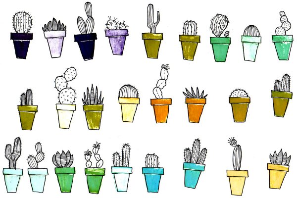 Растение в горшке рисунок