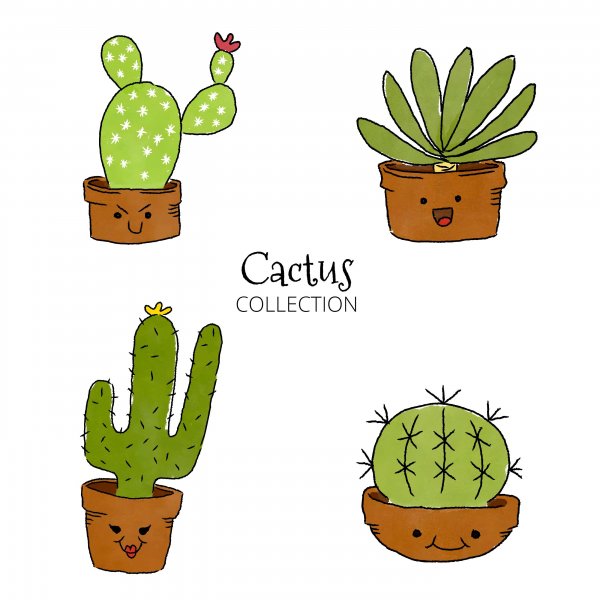 Рисунки для срисовки легкие Кактус