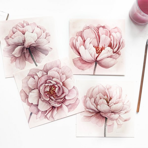 Грейс Фейок пионы