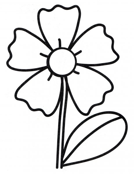 Цветы для детей