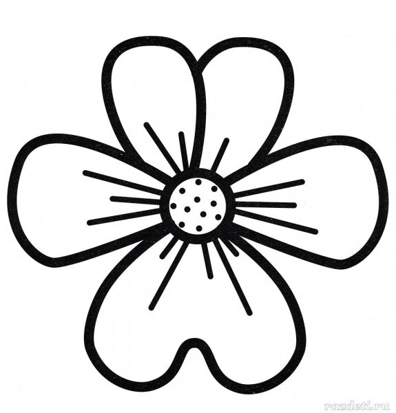 Цветочек раскраска для детей