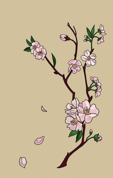 Ветка Сакуры эскиз