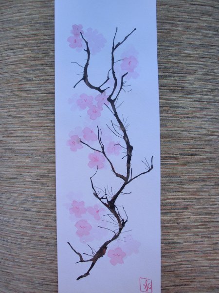 Ветка Сакуры поэтапное рисование