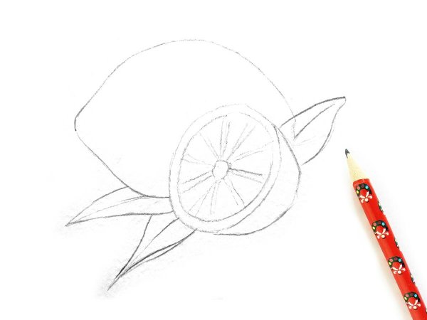 Нарисовать лимон карандашом поэтапно