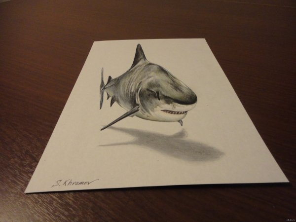 3д рисунки карандашом прикольные