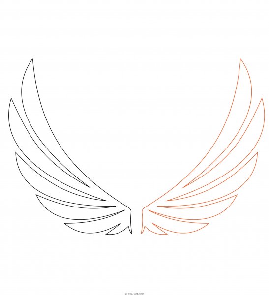 Крылья нарисованные