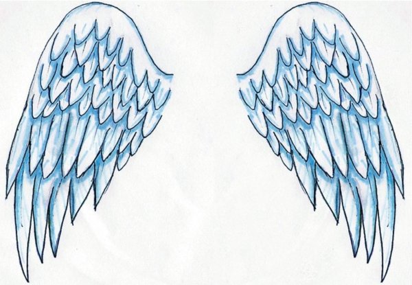 Крылья карандашом