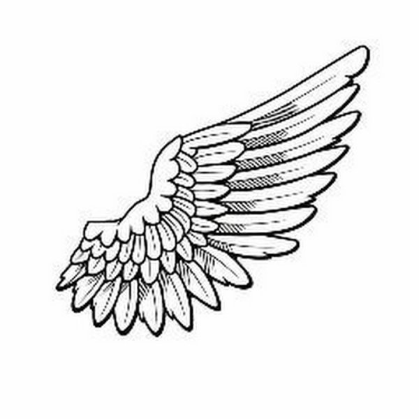Эскиз изогнутого крыла ангела