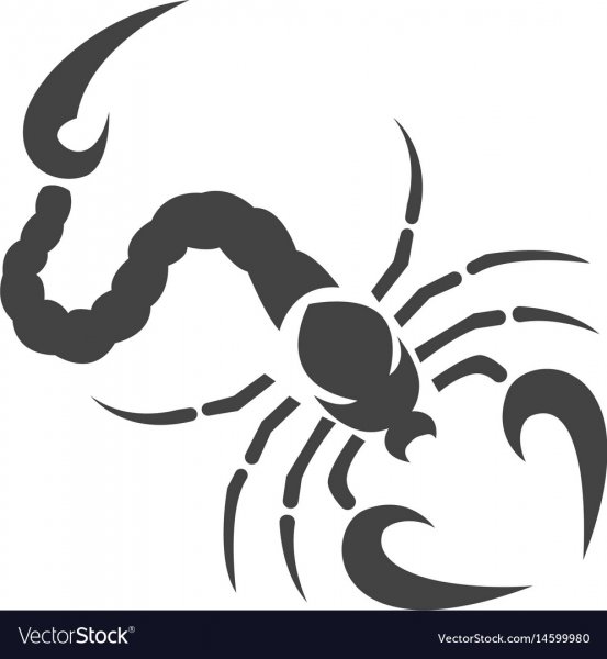 Скорпион векторный клипарт