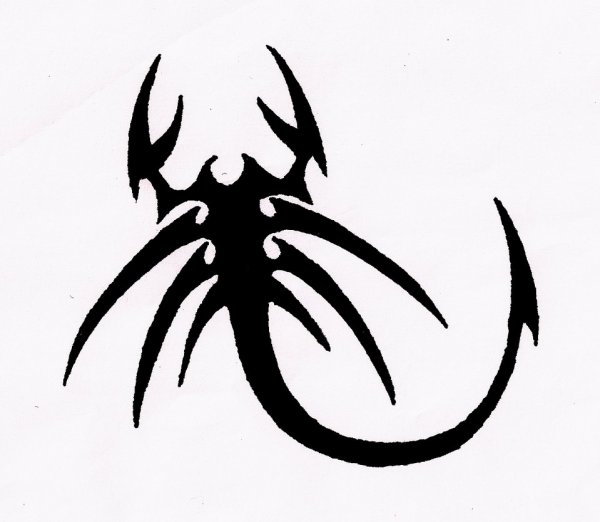 Тату Скорпион легкие